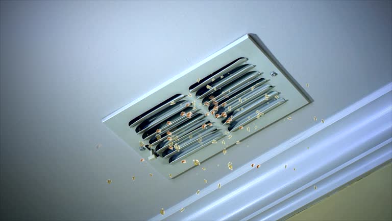 Best Home Air Vent Cleaning  in Orinda, CA